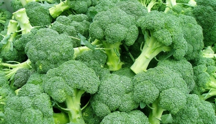 Brokoli: Sağlığınız için Bir Mucize Besin