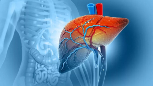 Karaciğer yağlanması sessiz ilerliyor erken tanı hayati önem taşıyor